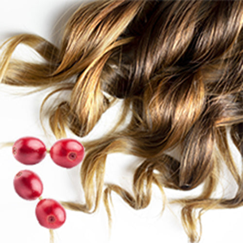 BENEFITS OF COFFEE FRUIT IN SKIN AND HAIR