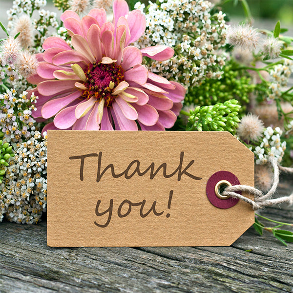 THANK YOU NOTE – Deluge